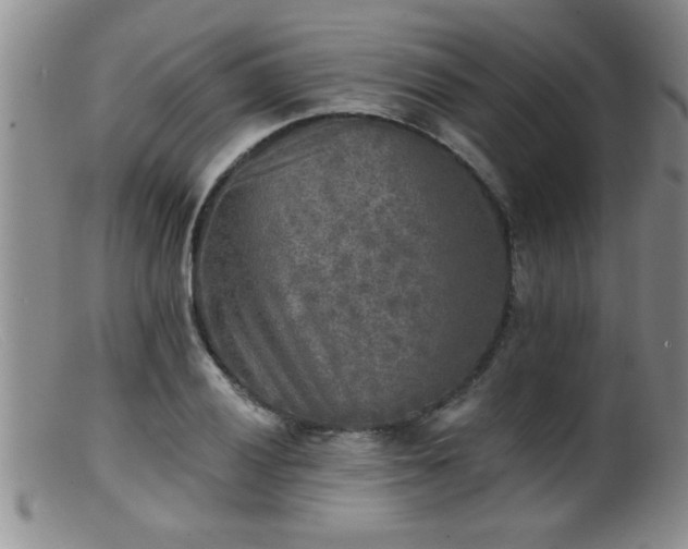 X0000099451028200805161017