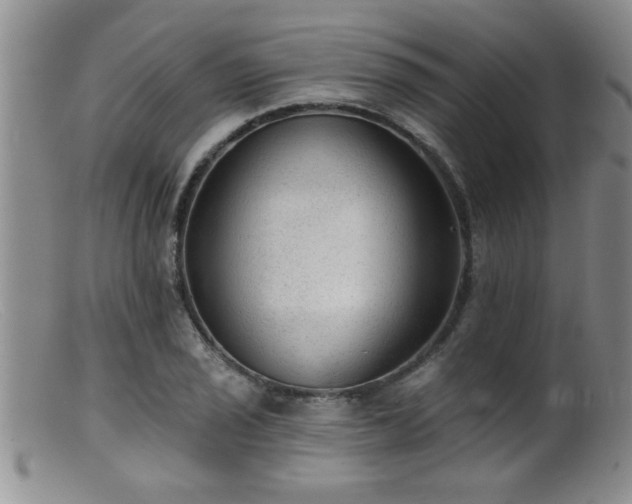 X0000099451029200805161017