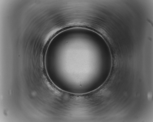 X0000099451030200805161017