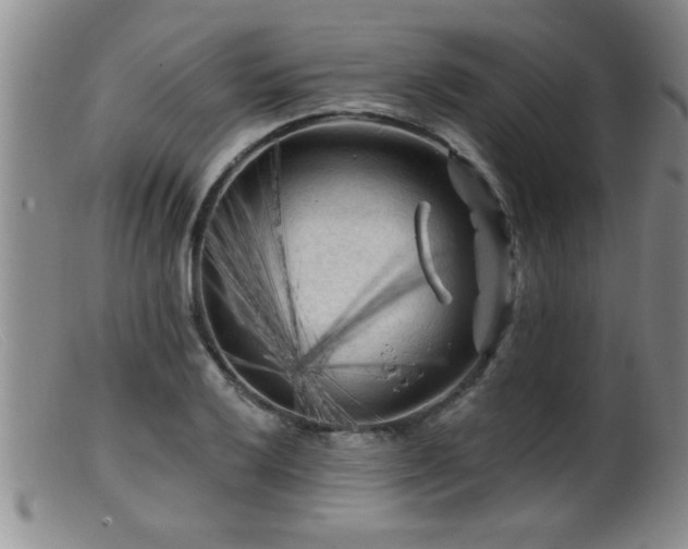 X0000099451032200805161017