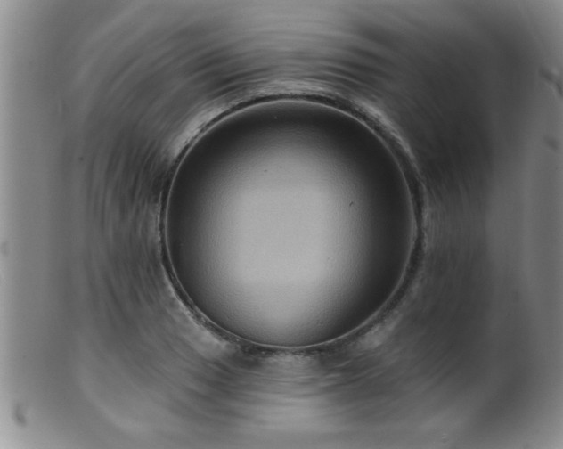 X0000099451033200805161017