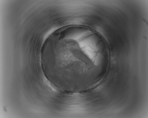 X0000099451035200805161017