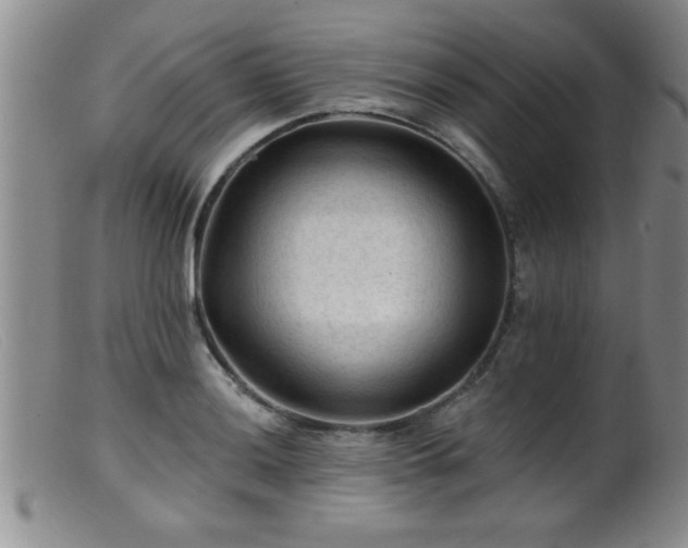 X0000099451036200805161017