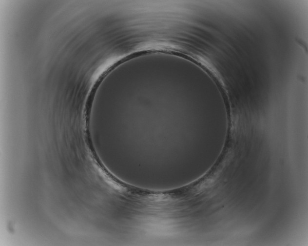 X0000099451037200805161017