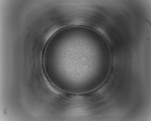 X0000099451039200805161017