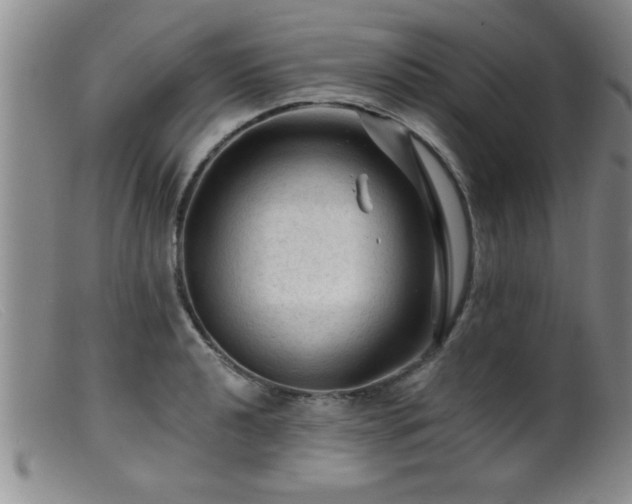 X0000099451040200805161017