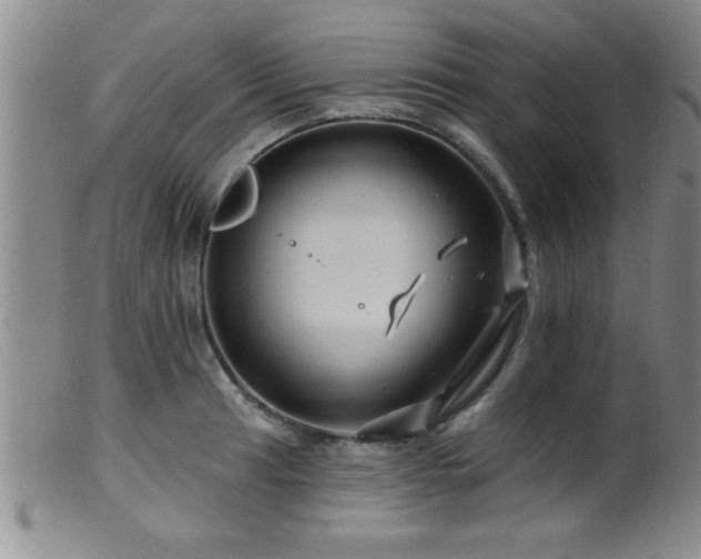 X0000099451041200805161017