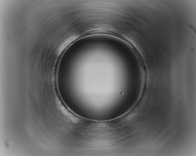 X0000099451042200805161017