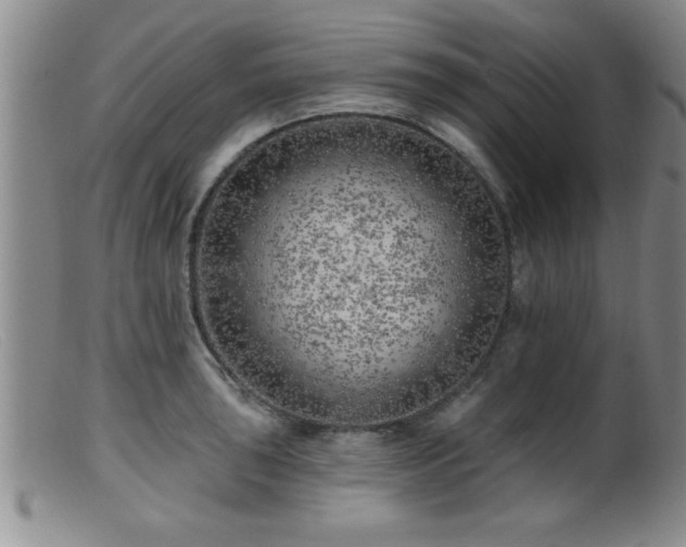 X0000099451043200805161017