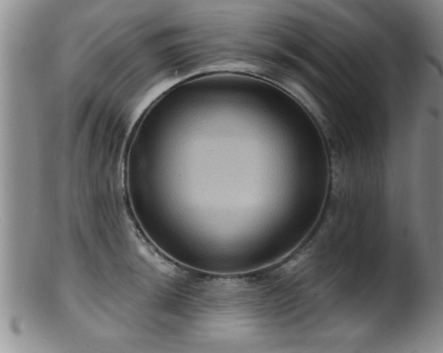 X0000099451044200805161017