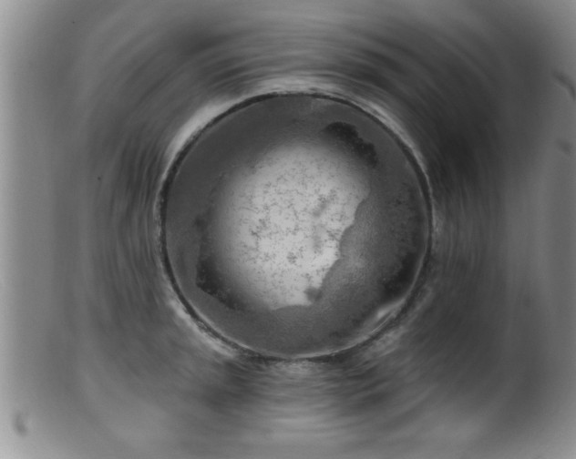 X0000099451045200805161017