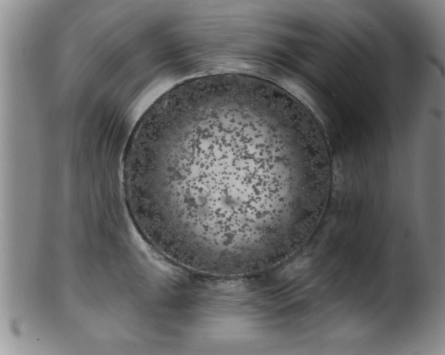 X0000099451047200805161017