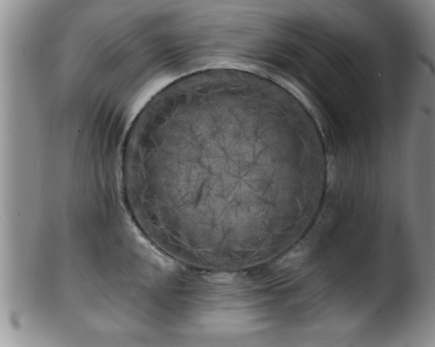 X0000099451048200805161017