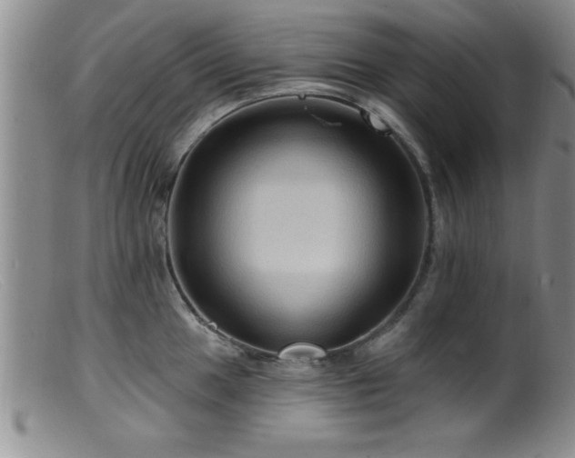 X0000099451049200805161017