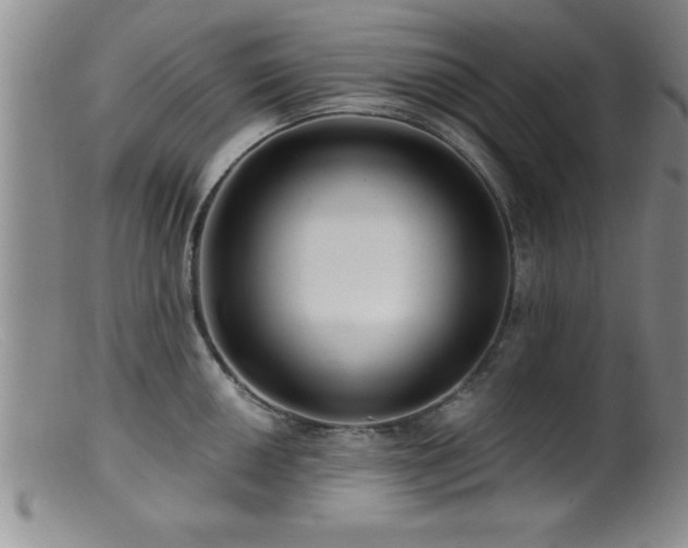 X0000099451050200805161017