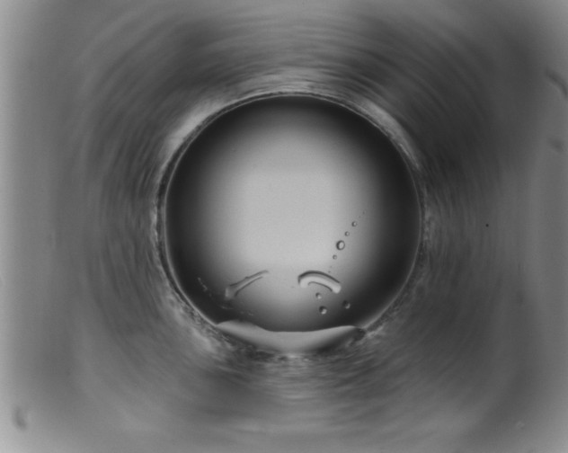 X0000099451051200805161017