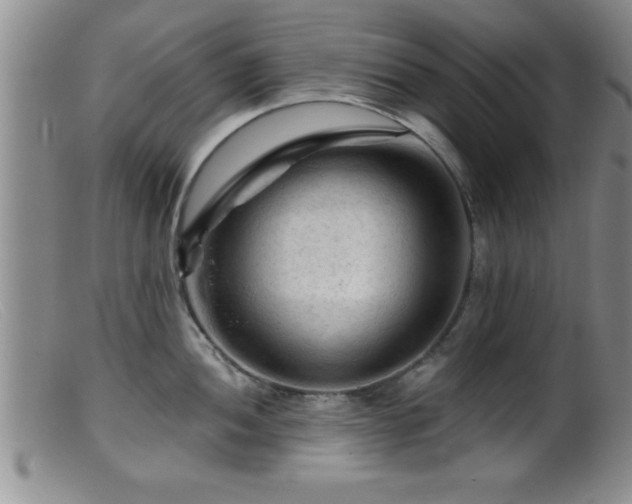 X0000099451052200805161017