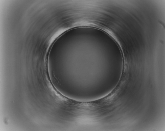 X0000099451053200805161017