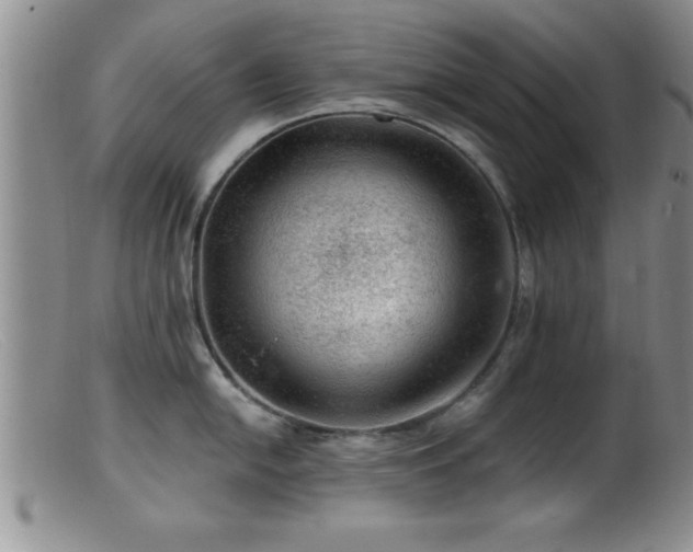 X0000099451054200805161017