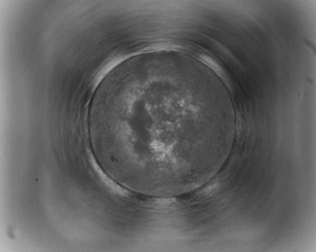 X0000099451055200805161018