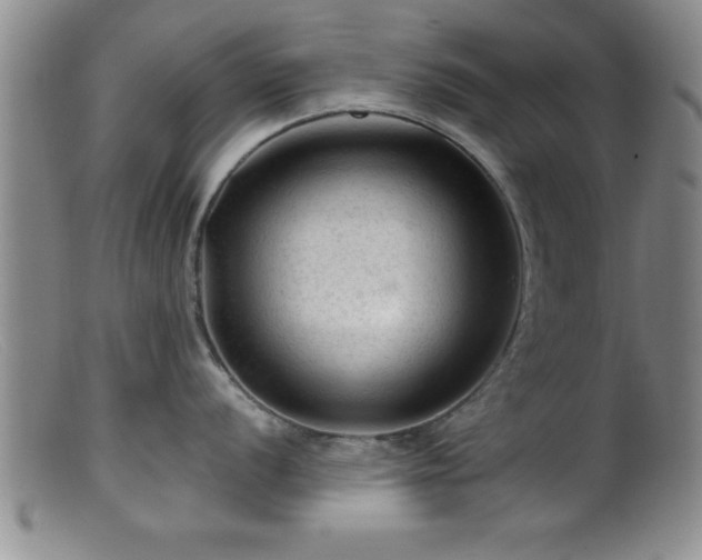 X0000099451056200805161018