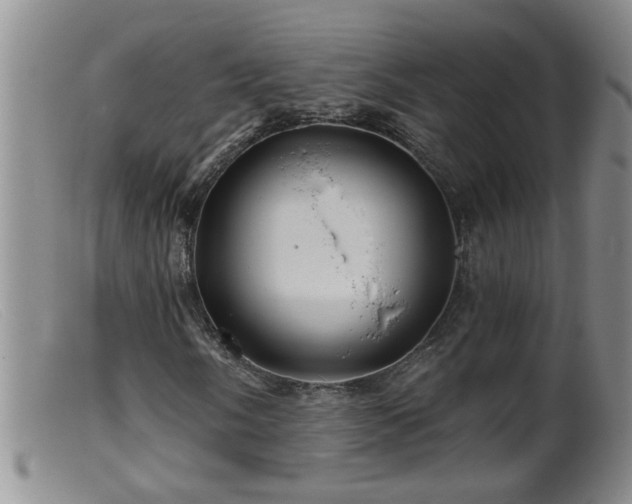 X0000099451058200805161017