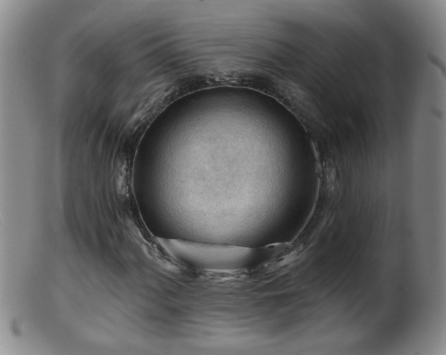 X0000099451060200805161016