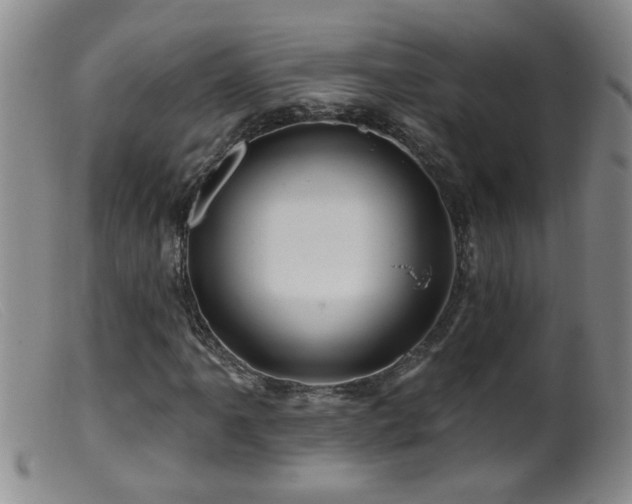 X0000099451061200805161016