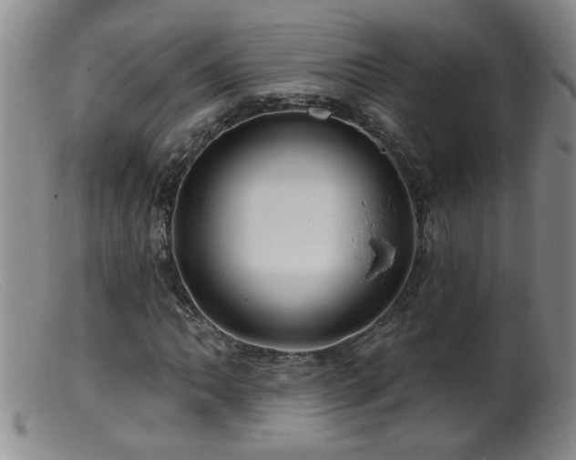 X0000099451062200805161016