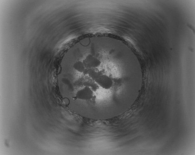 X0000099451063200805161016