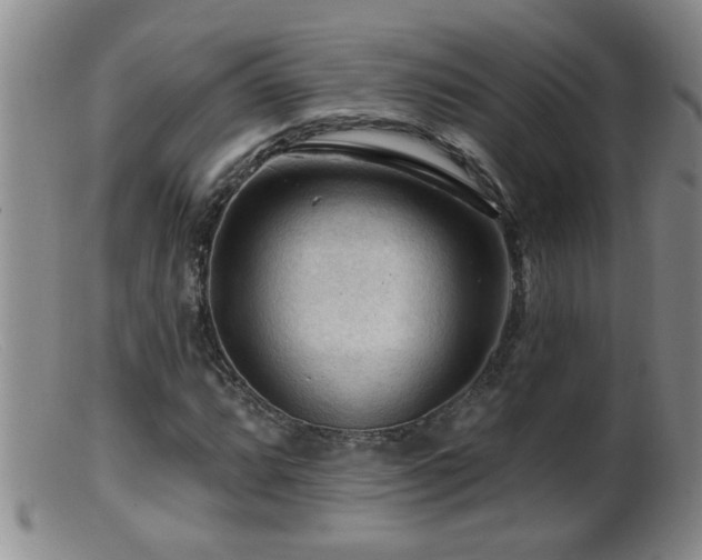 X0000099451064200805161016