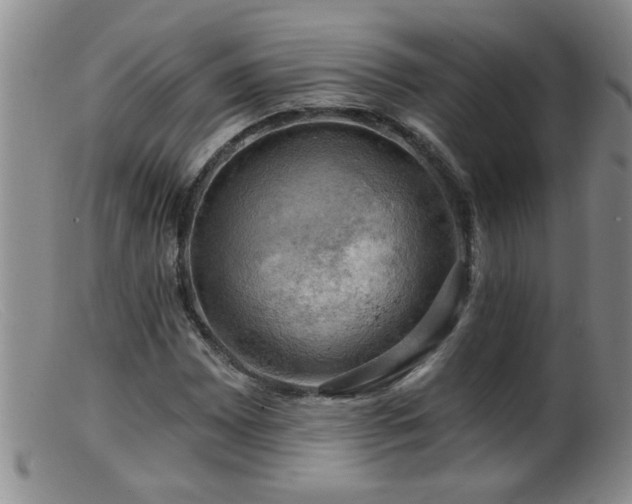 X0000099451065200805161016