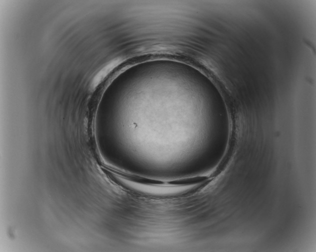 X0000099451066200805161016