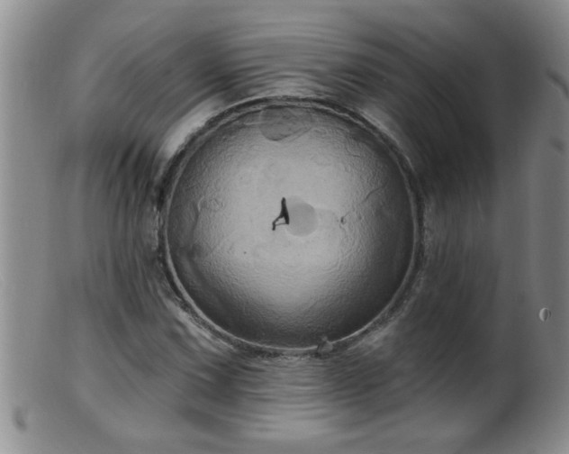 X0000099451067200805161016