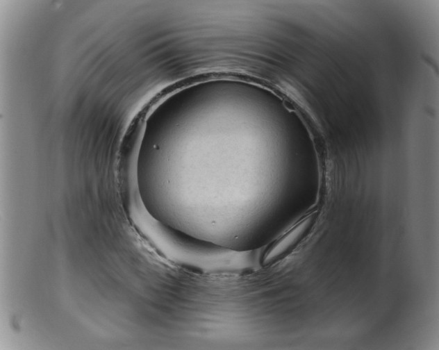 X0000099451068200805161016