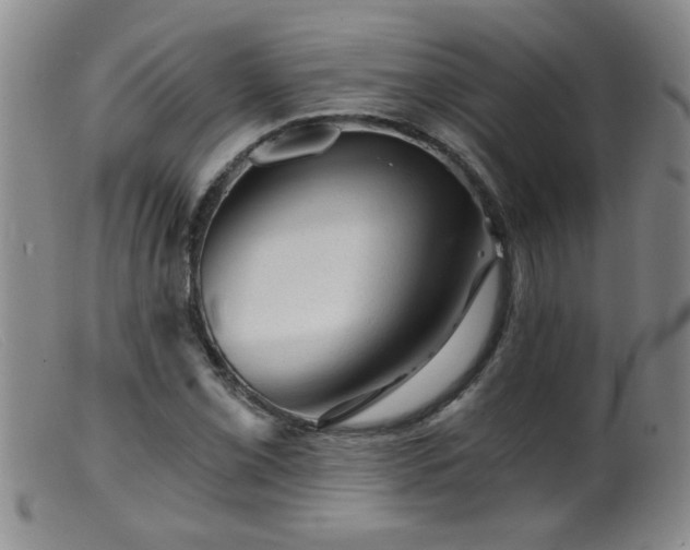 X0000099451069200805161016