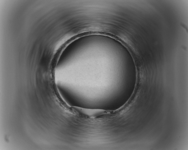 X0000099451070200805161016