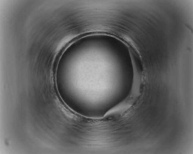 X0000099451072200805161016