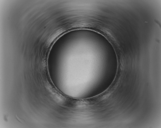 X0000099451073200805161016