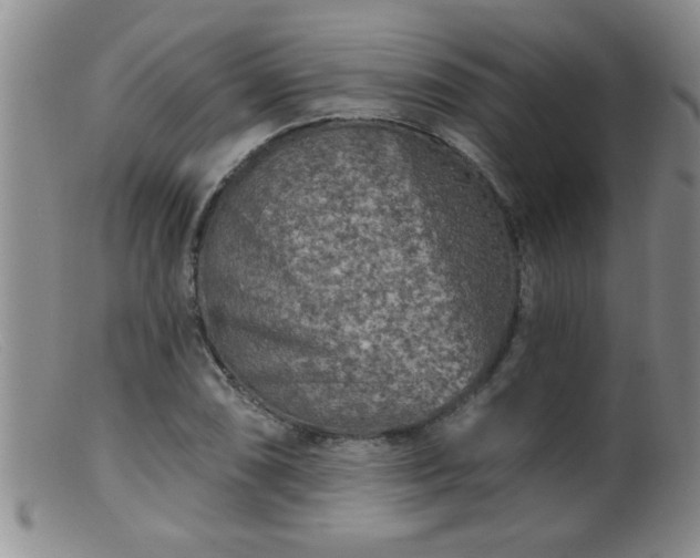 X0000099451074200805161016