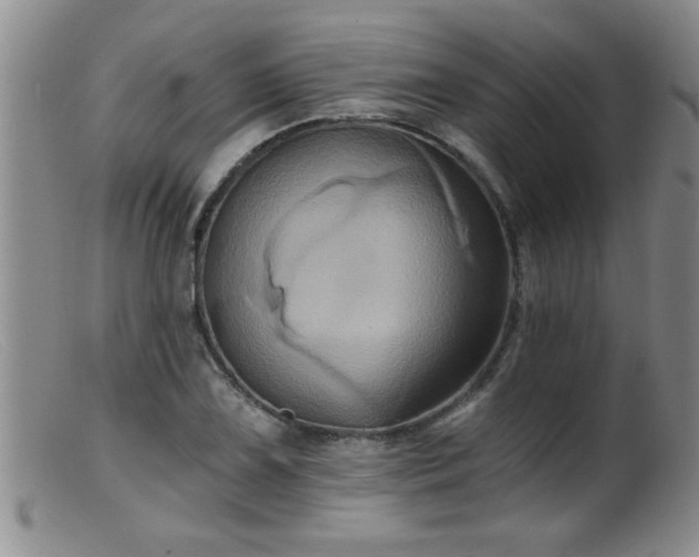 X0000099451075200805161016