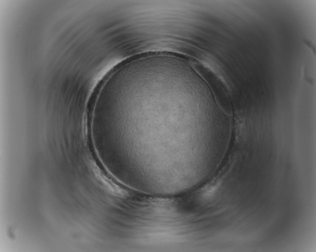 X0000099451076200805161016