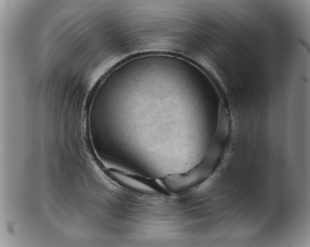 X0000099451077200805161016