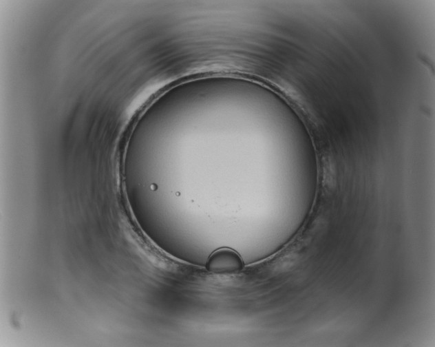 X0000099451078200805161016