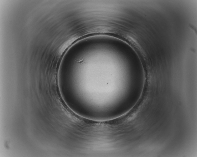 X0000099451081200805161016