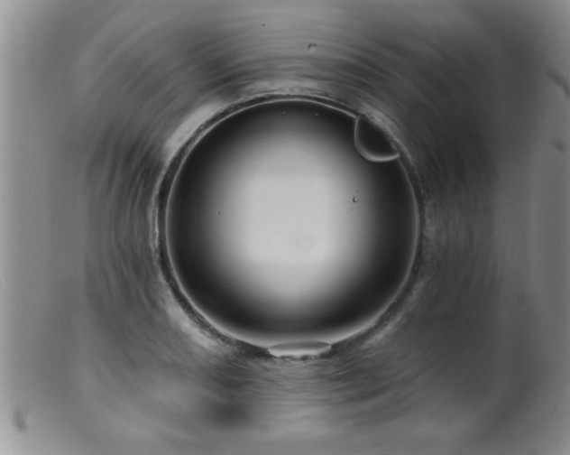 X0000099451082200805161016