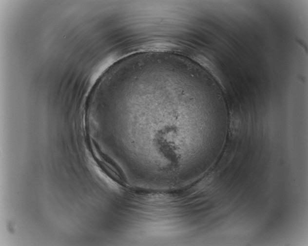 X0000099451083200805161016