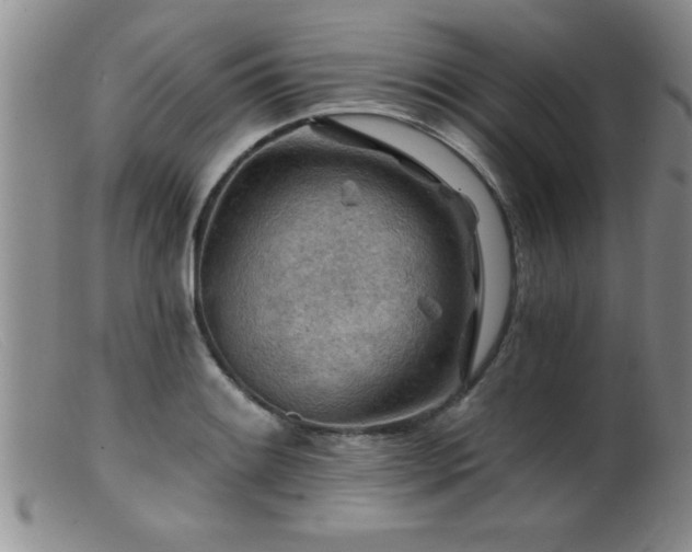 X0000099451084200805161016