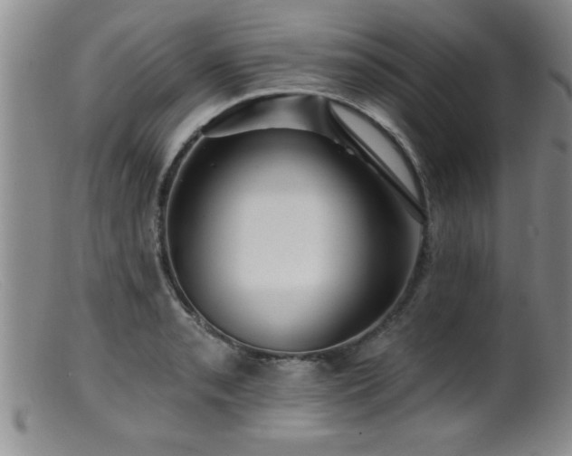 X0000099451085200805161016