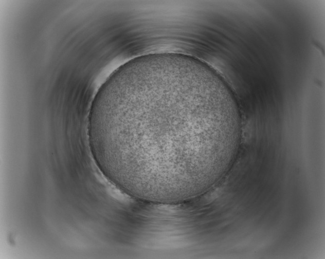 X0000099451086200805161016